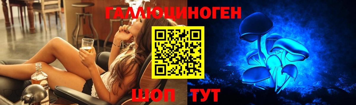 Кизляр  Псилоцибиновые грибы MAGIC MUSHROOMS  Вход с VPN 