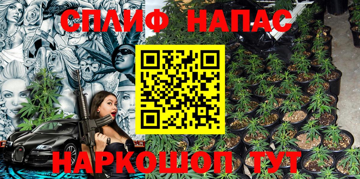 Канабис индика Кизляр